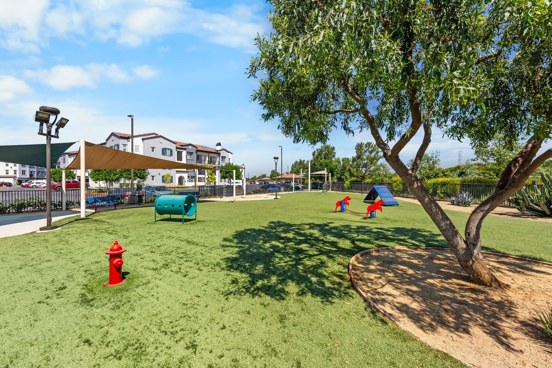 Dog park with dog toys