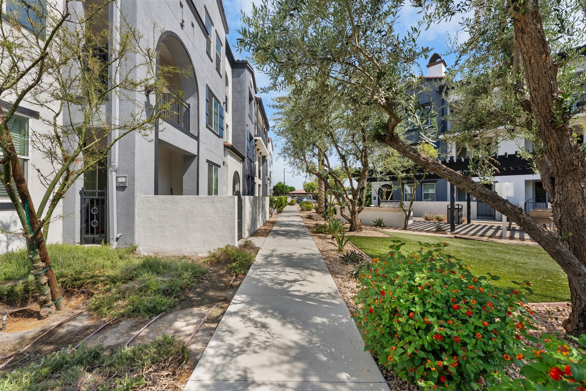 Shaded walkway with trees and hedges