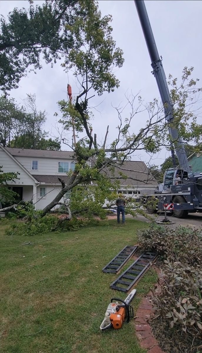 A tree is being cut down by a crane in front of a house.