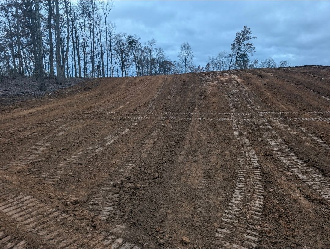 A dirt road going through a field with trees in the background.