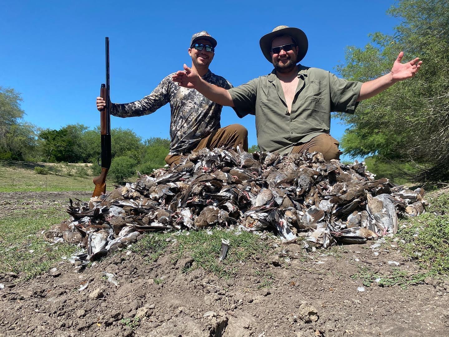 Mexico dove hunting