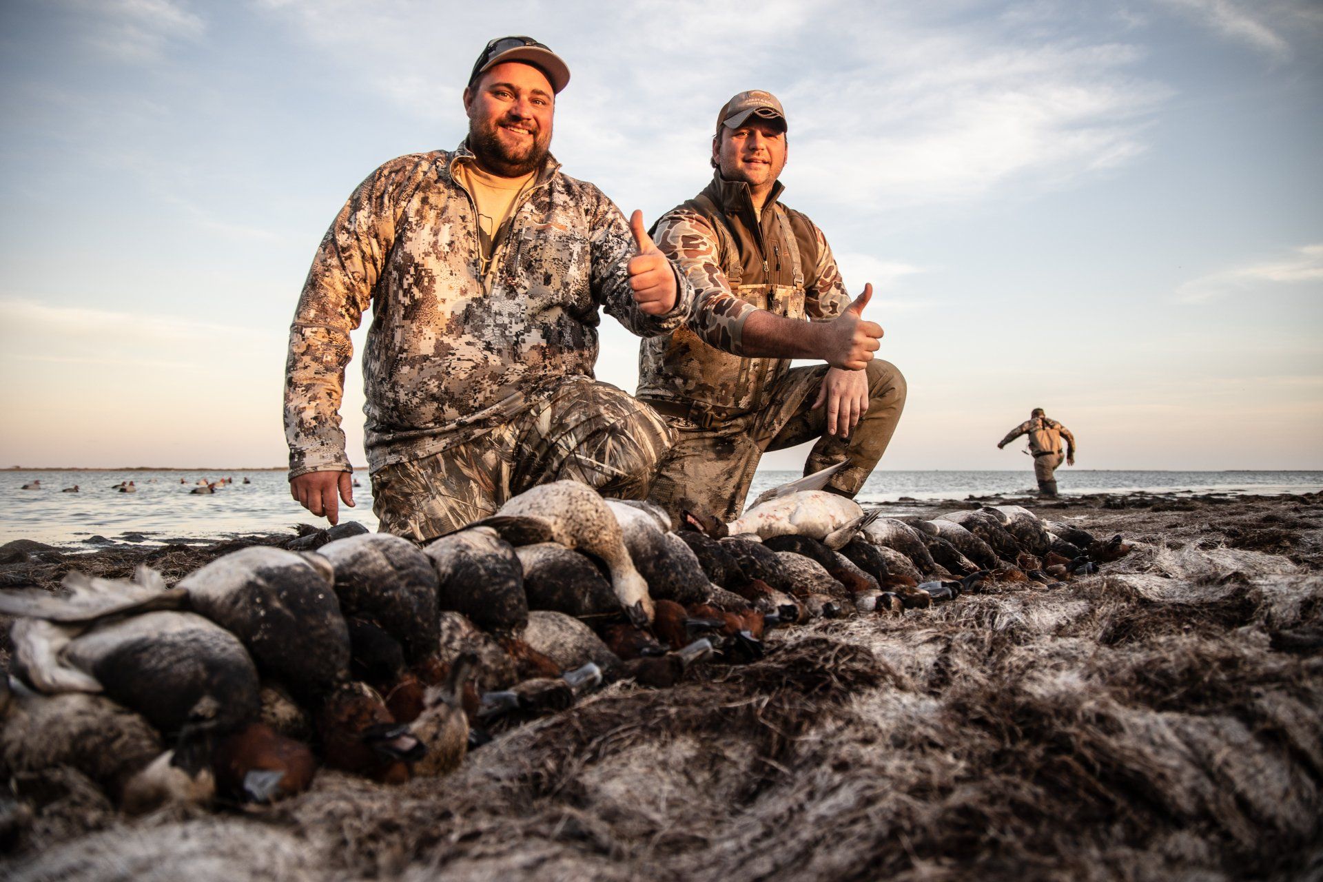 Mexico duck hunting guide