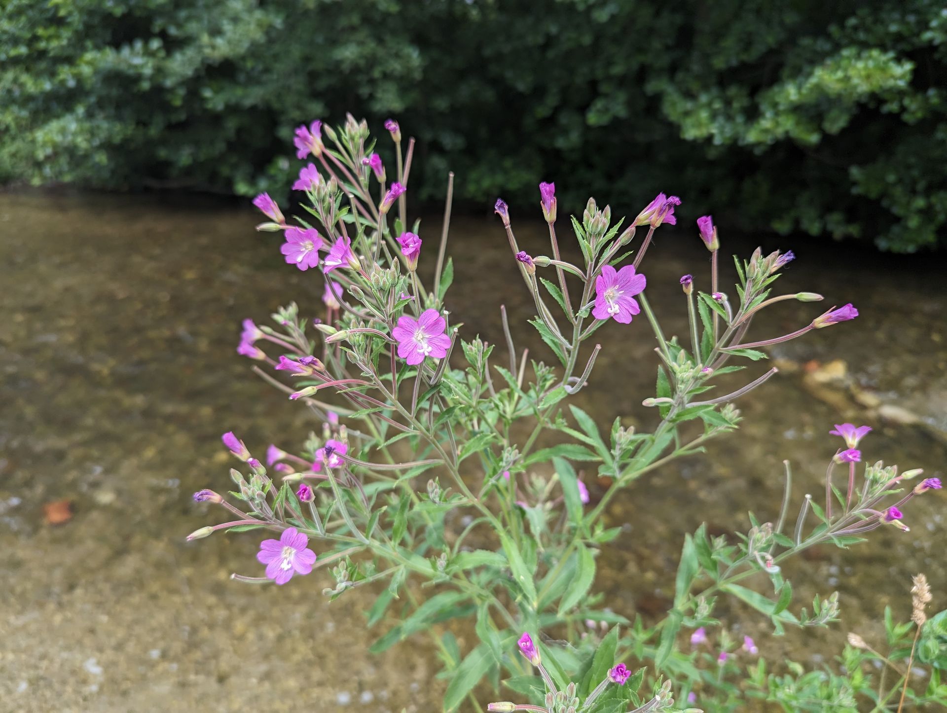 Augen-Kraftort-Spaziergang