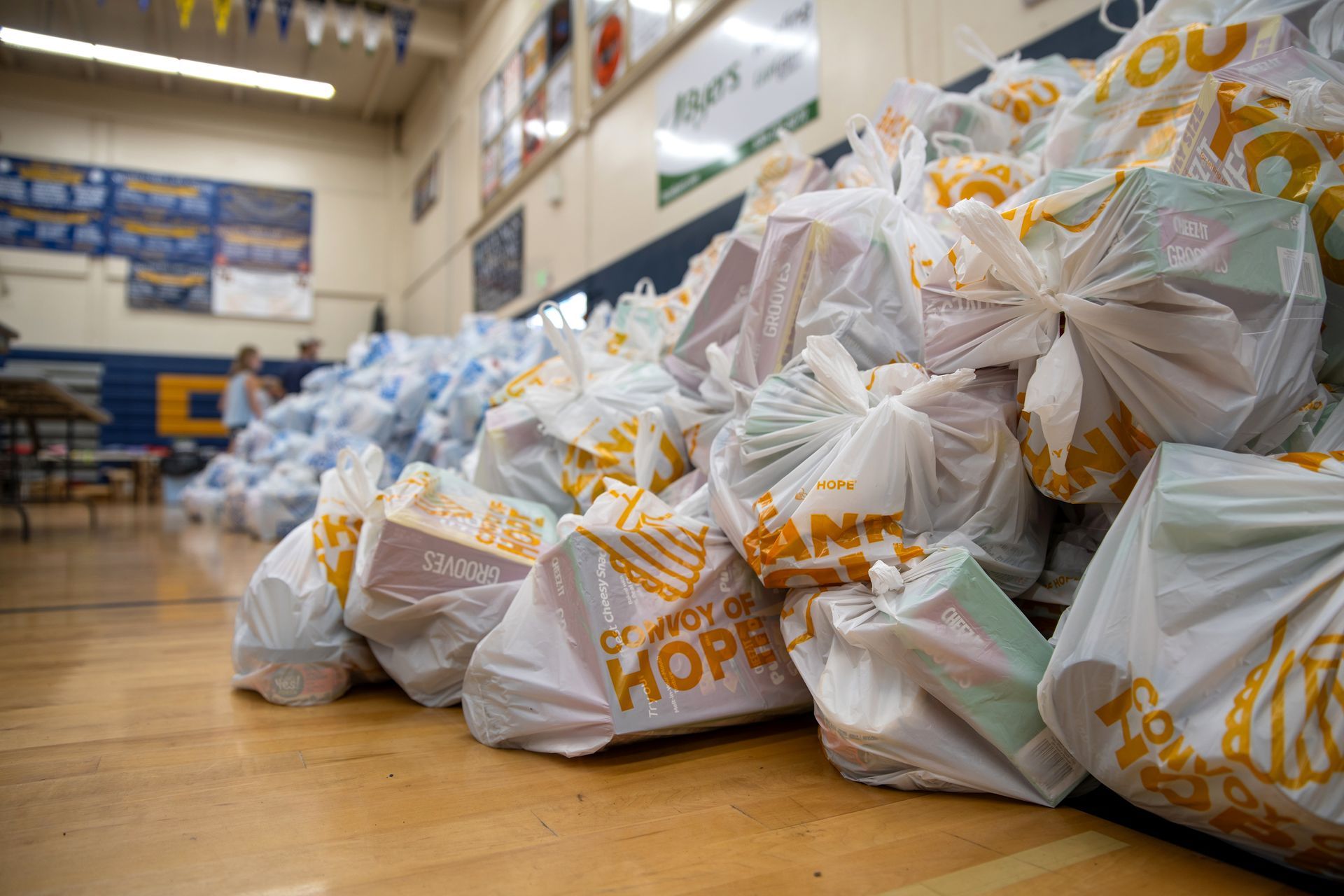 Gallery image from last year's Hope for Nevada County event in July