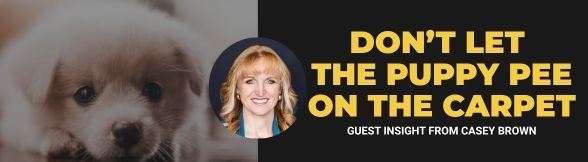 Don’t Let the Puppy Pee on the Carpet | Guest Insight from Casey Brown
