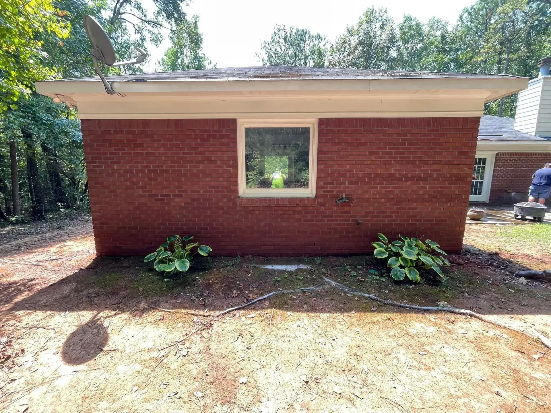 Red brick building with a window and two green and white plants. Trees in the background.