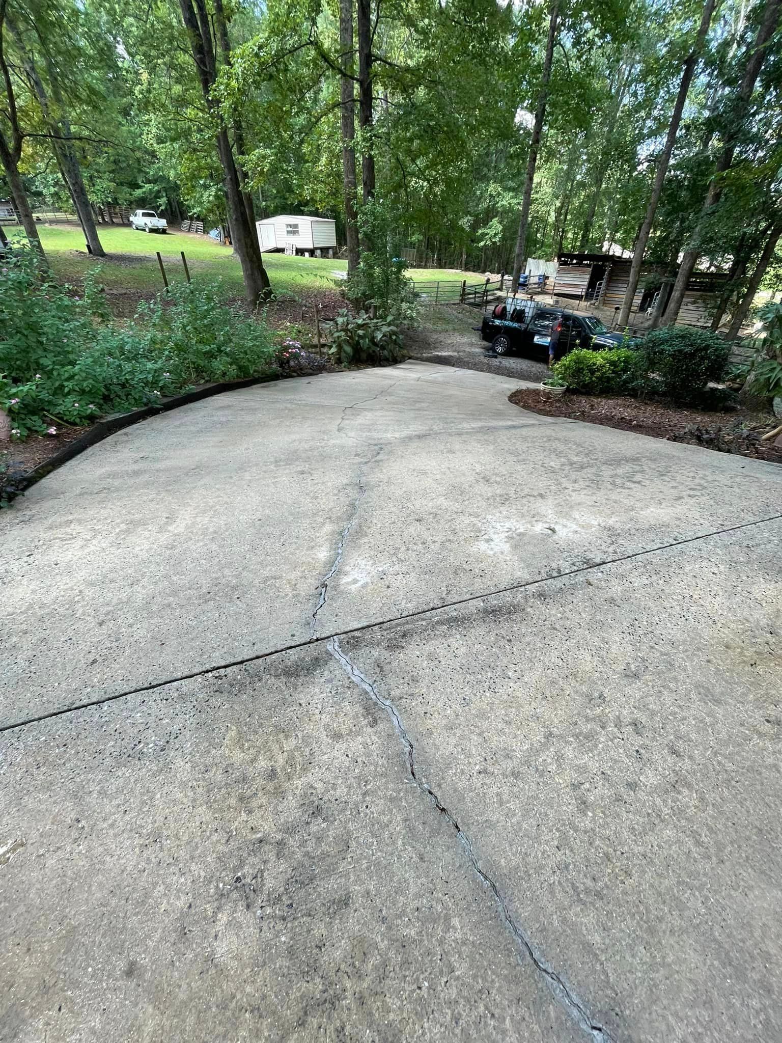 Concrete driveway leading uphill to a yard with trees and bushes.