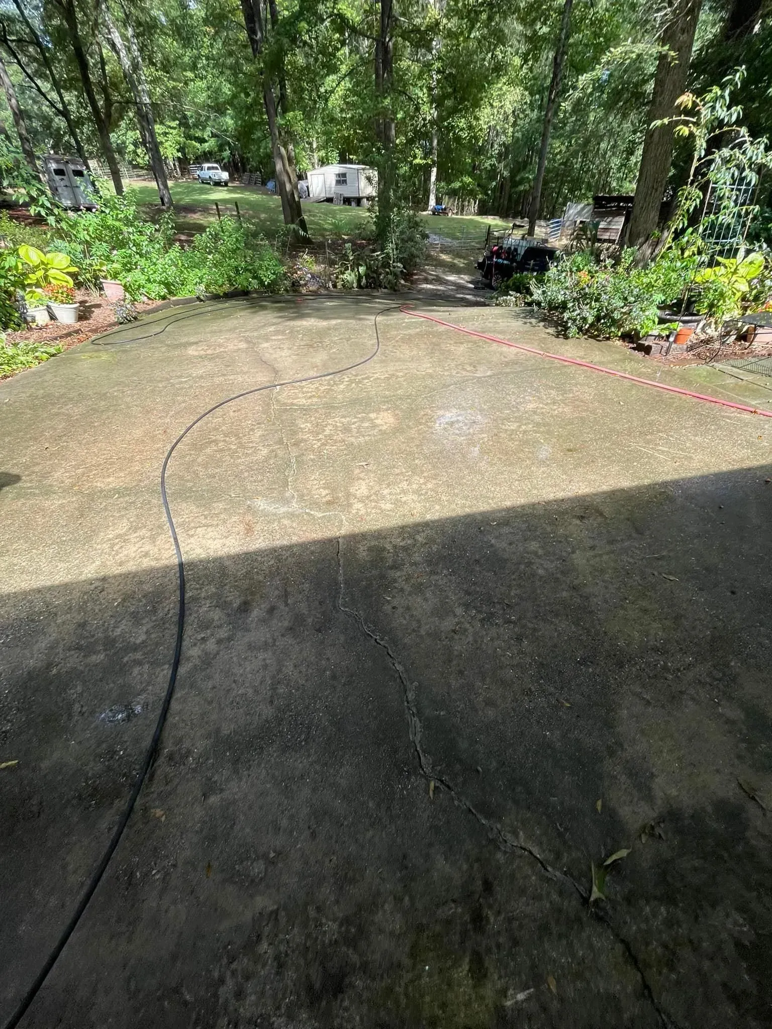 Concrete driveway with plants and trees in the background. A dark hose runs across the concrete.