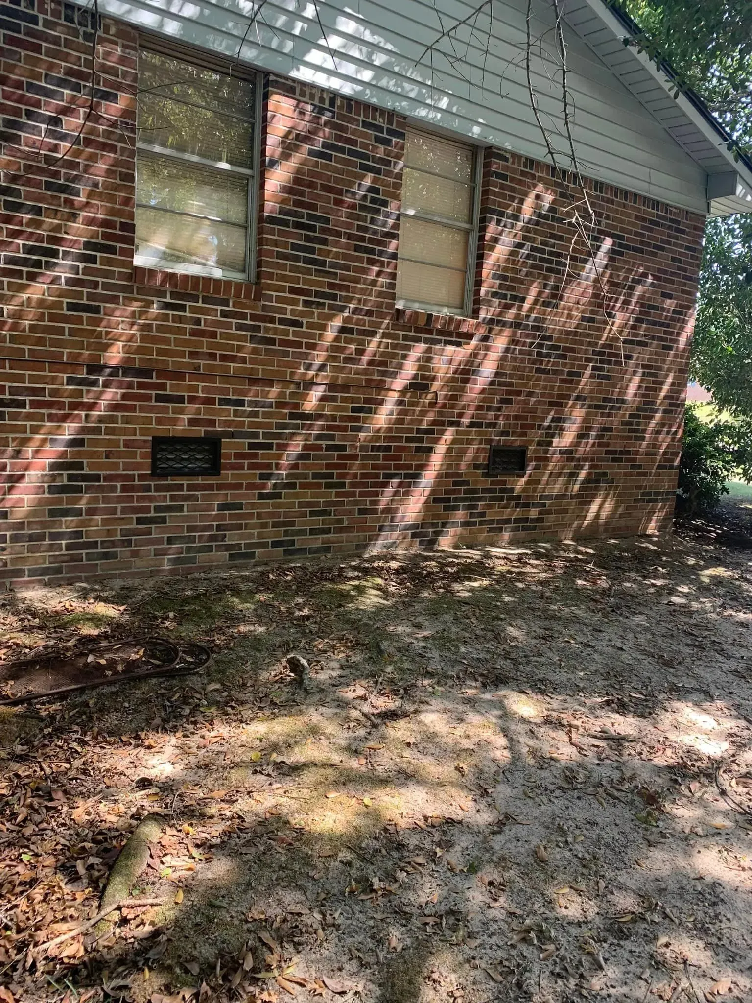 Brick wall of a building with windows, sunlight casting shadows, and a leaf-covered ground.