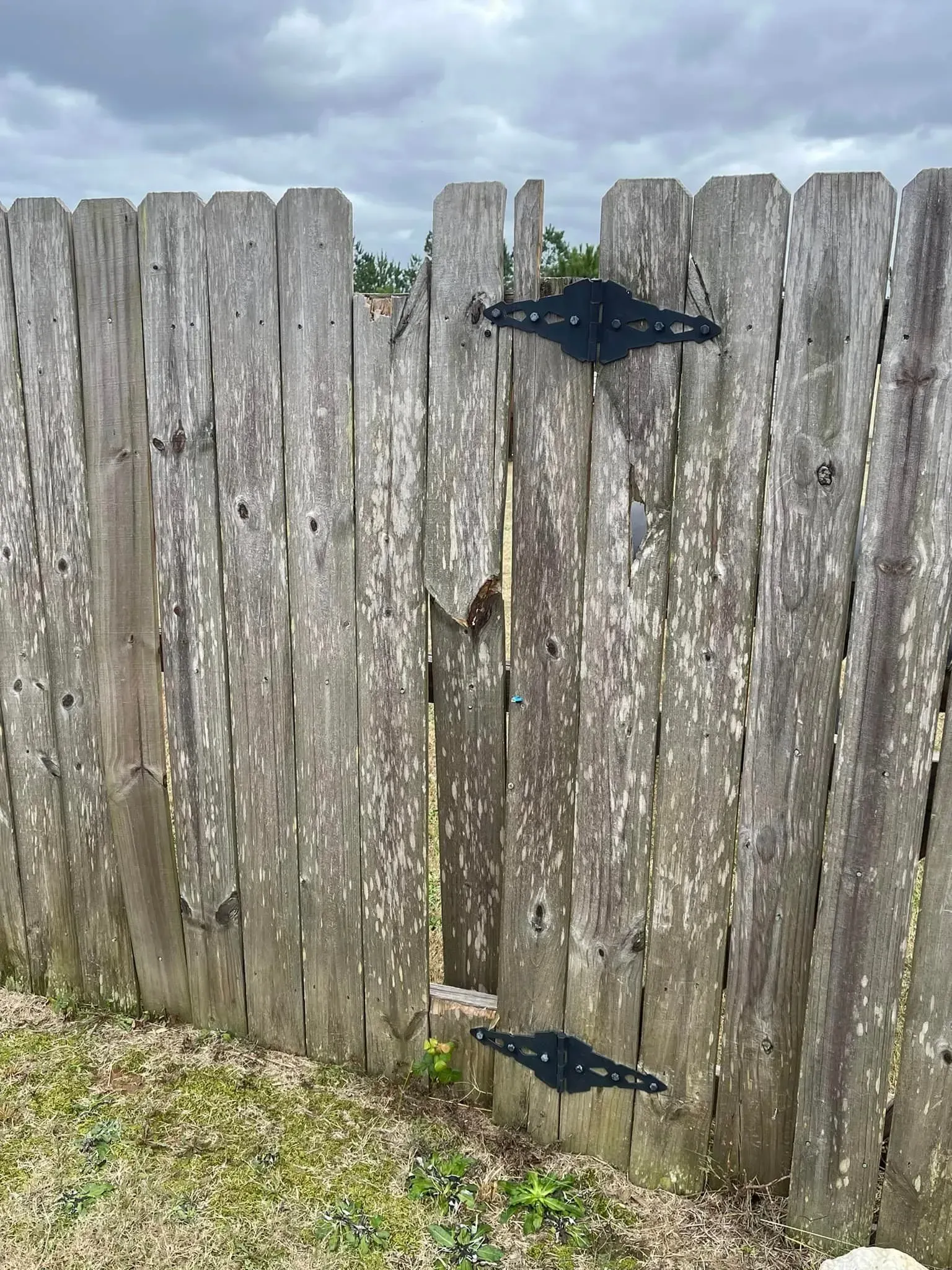 Wooden fence with missing gate section, black hinges, and weathered appearance.