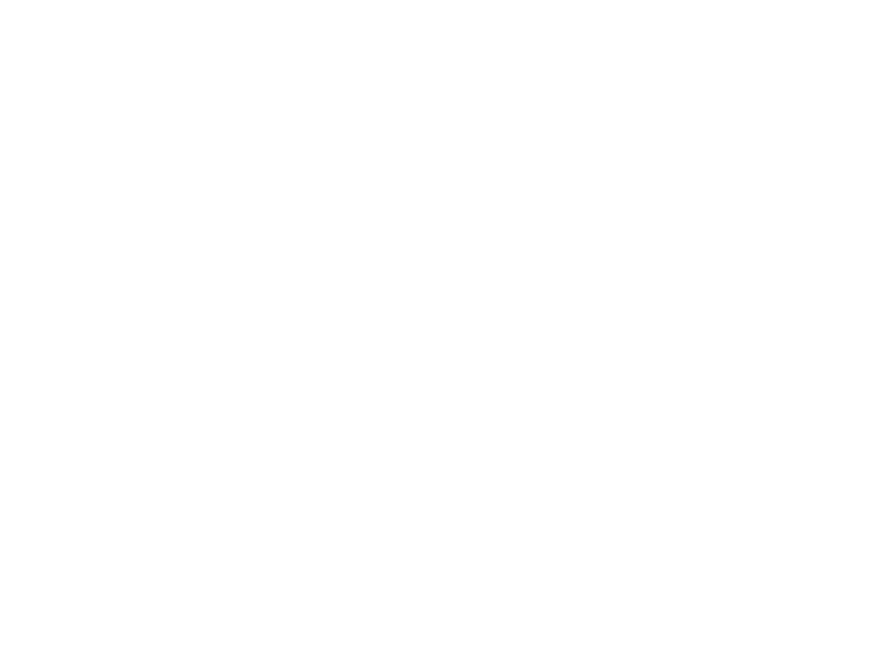 Dennis Kriel Website Logo White