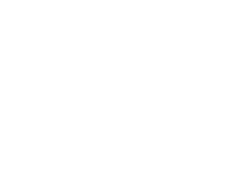 Dennis Kriel Website Logo White