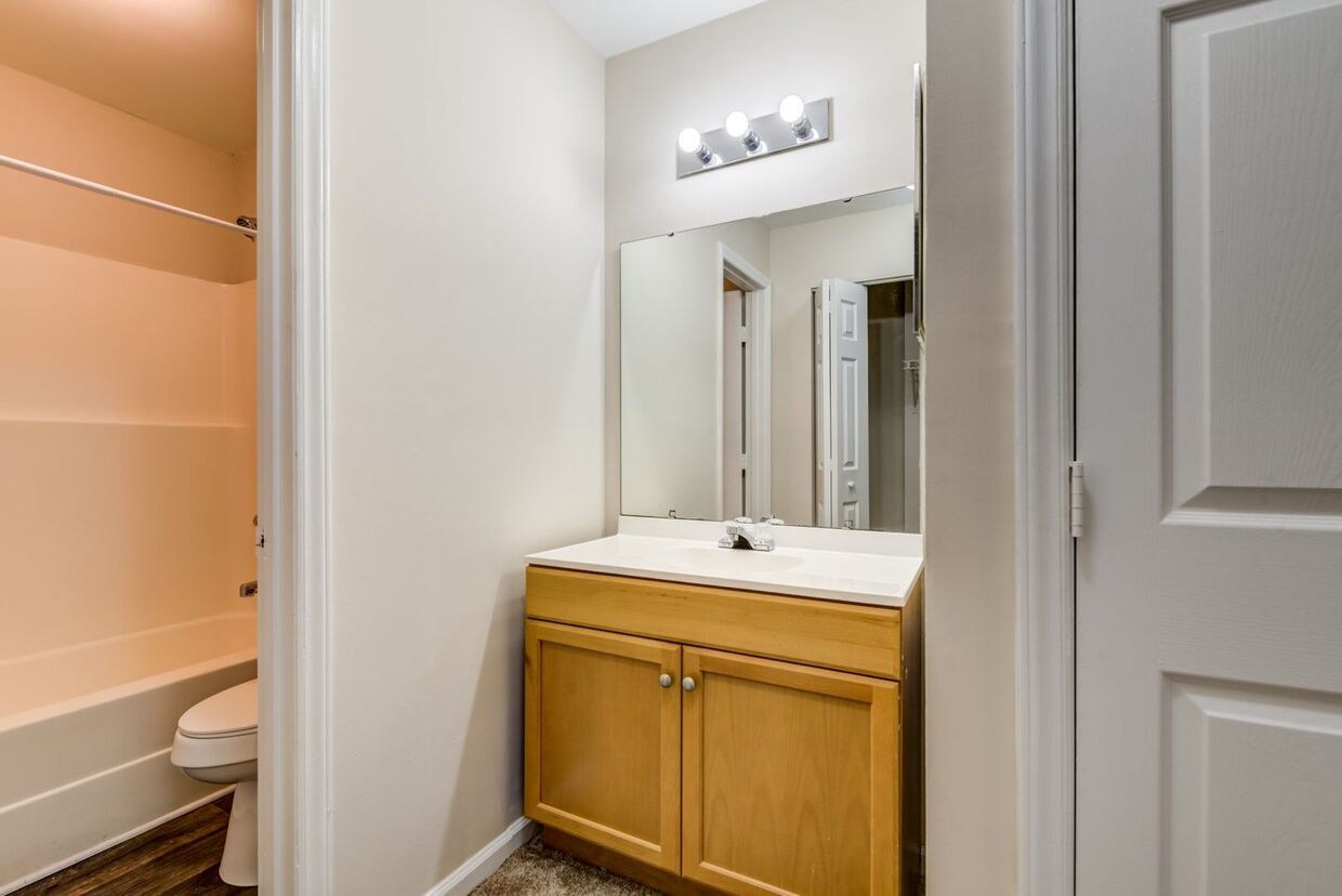 Bathroom interior with a vanity, mirror, and access to a bathtub/toilet area. Beige walls, light wood cabinet.