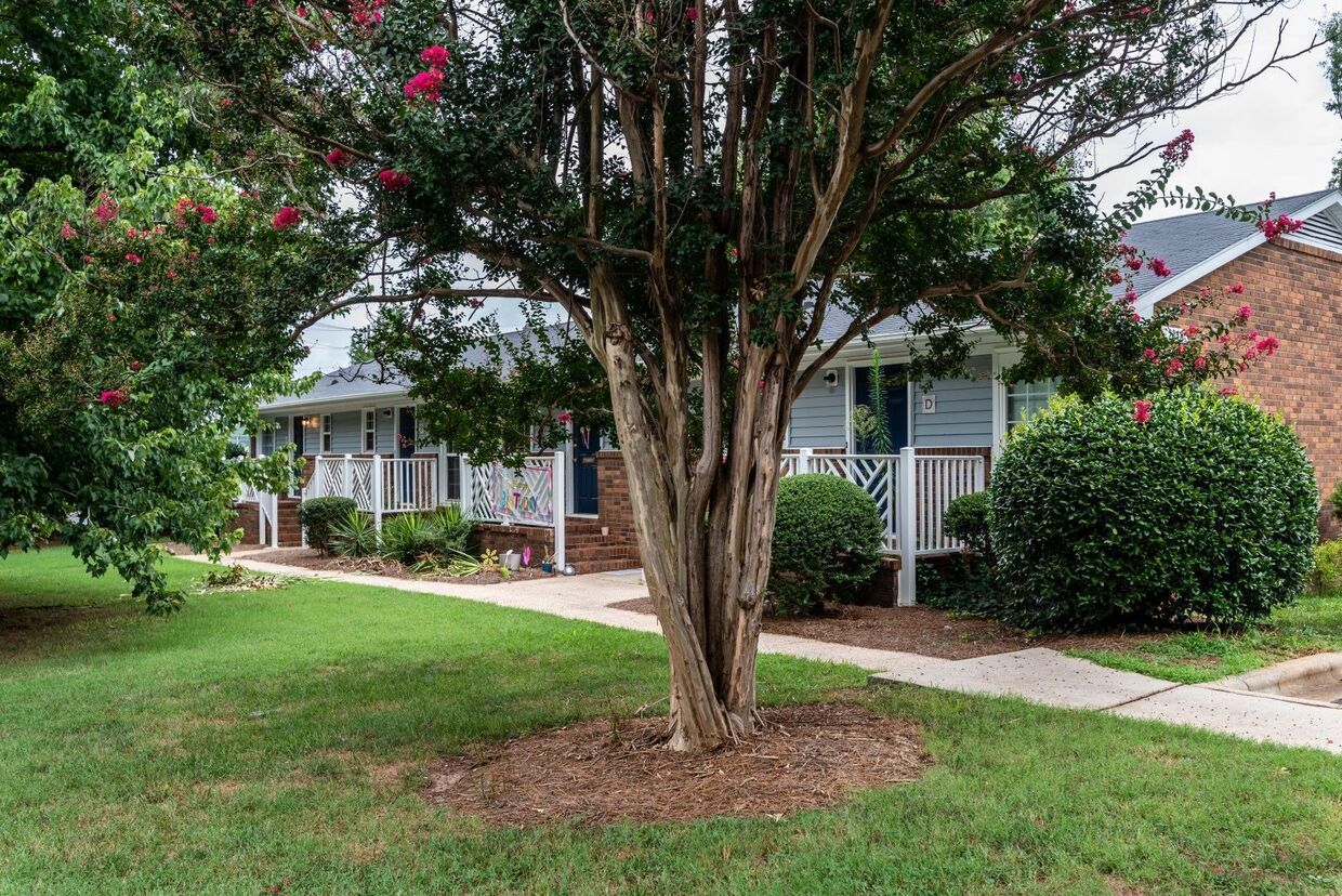 Townhouses with blue siding and white railings, shaded by a tree with pink flowers, on a grassy lawn.