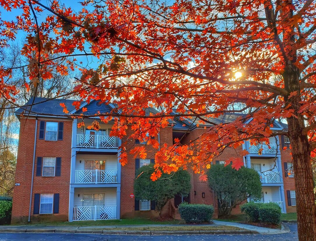 Apartment building with red and orange autumn leaves in the foreground. Sun shining through the leaves.