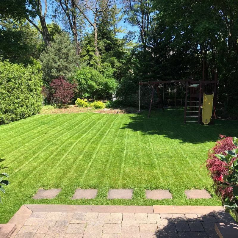 Green lawn with mowed stripes.