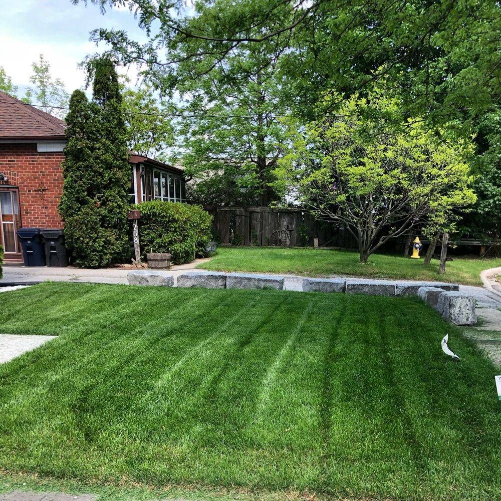 Weekly Lawn Mowing Client in Etobicoke ON. Weekly Lawn Mowing Client in Etobicoke ON.