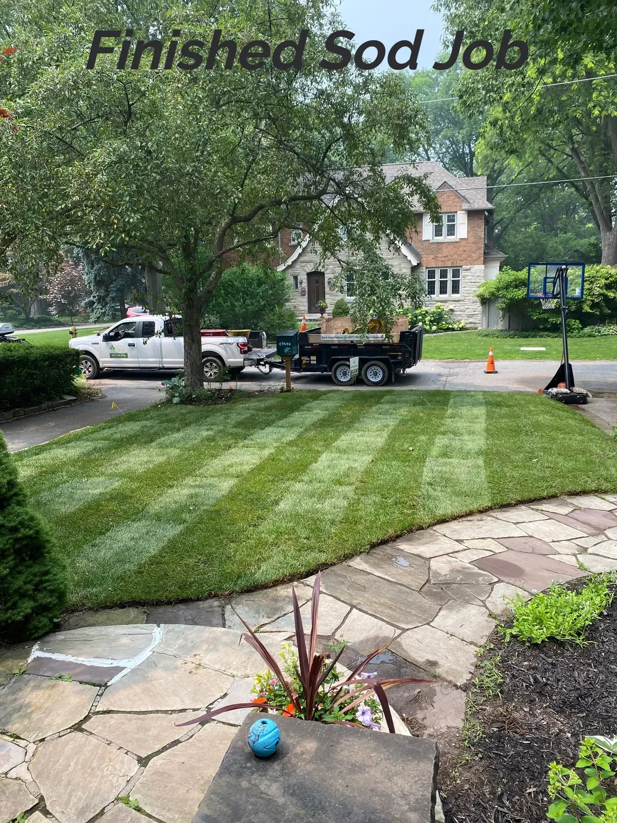 Recently completed front lawn sod installation in Etobicoke