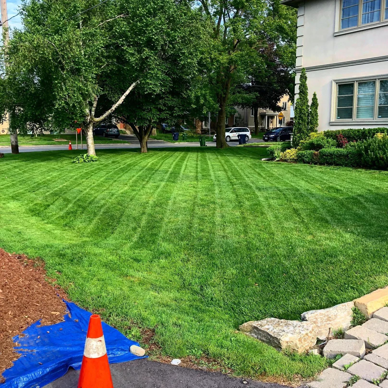 Weekly Lawn Mowing in Etobicoke!