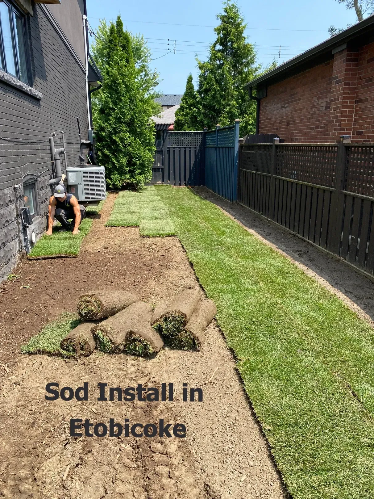 Process of rolling out new sod after grading the yard