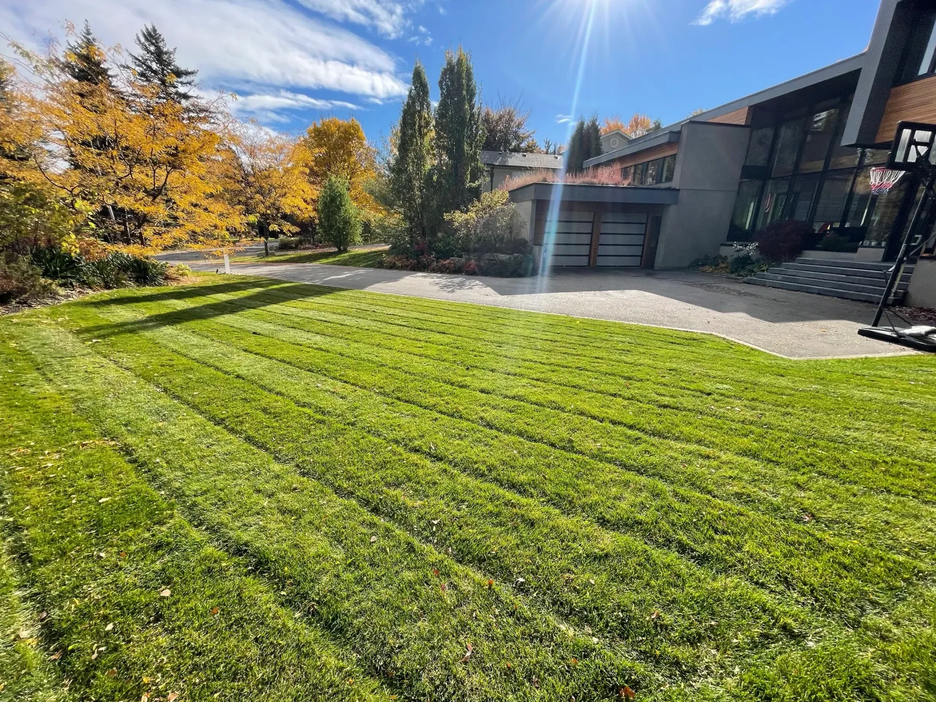 Lush lawn that is mowed weekly, and all clippings are mulched.