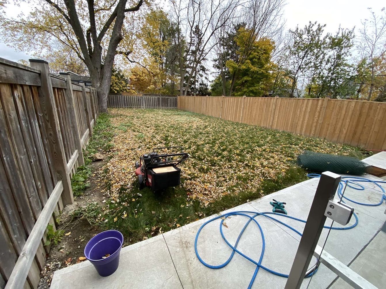 Back Lawn in Need of a Cleanup