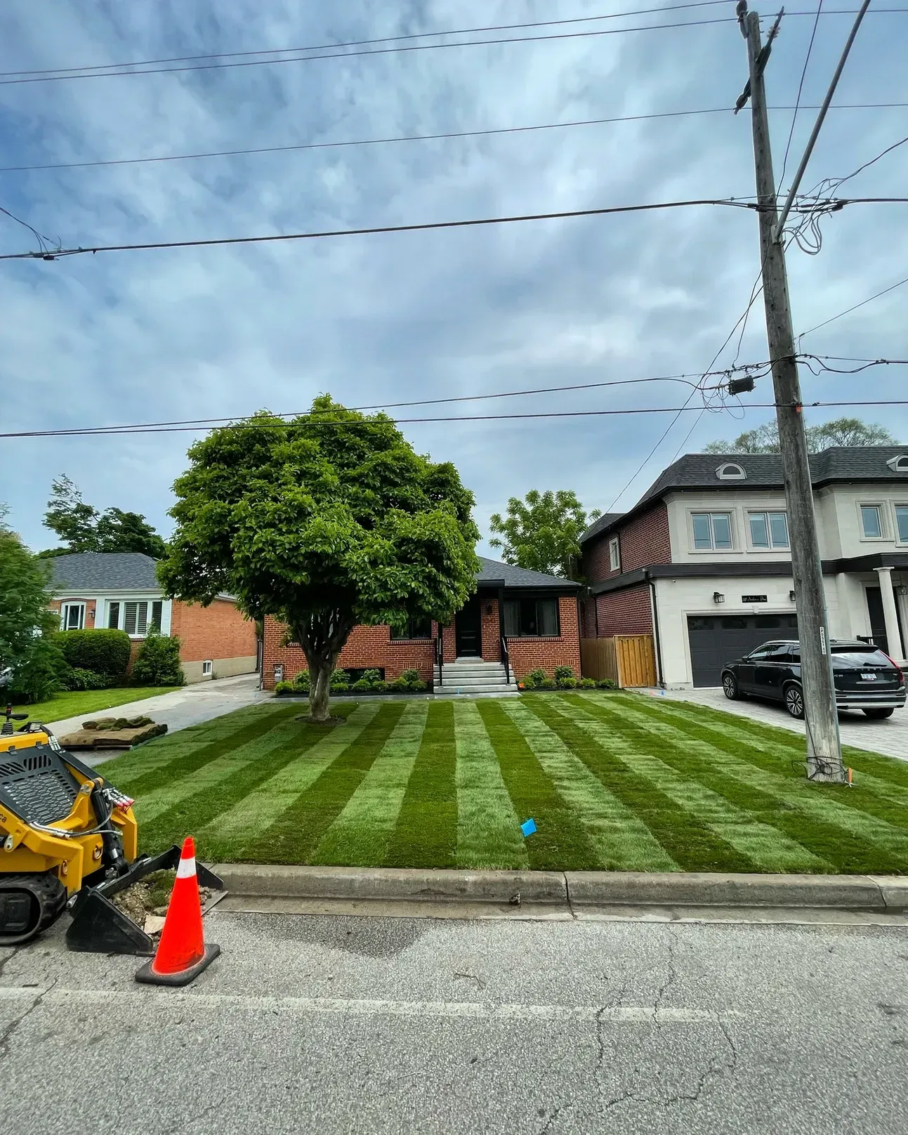 Front lawn we resodded earlier this spring in Mississauga Ontario
