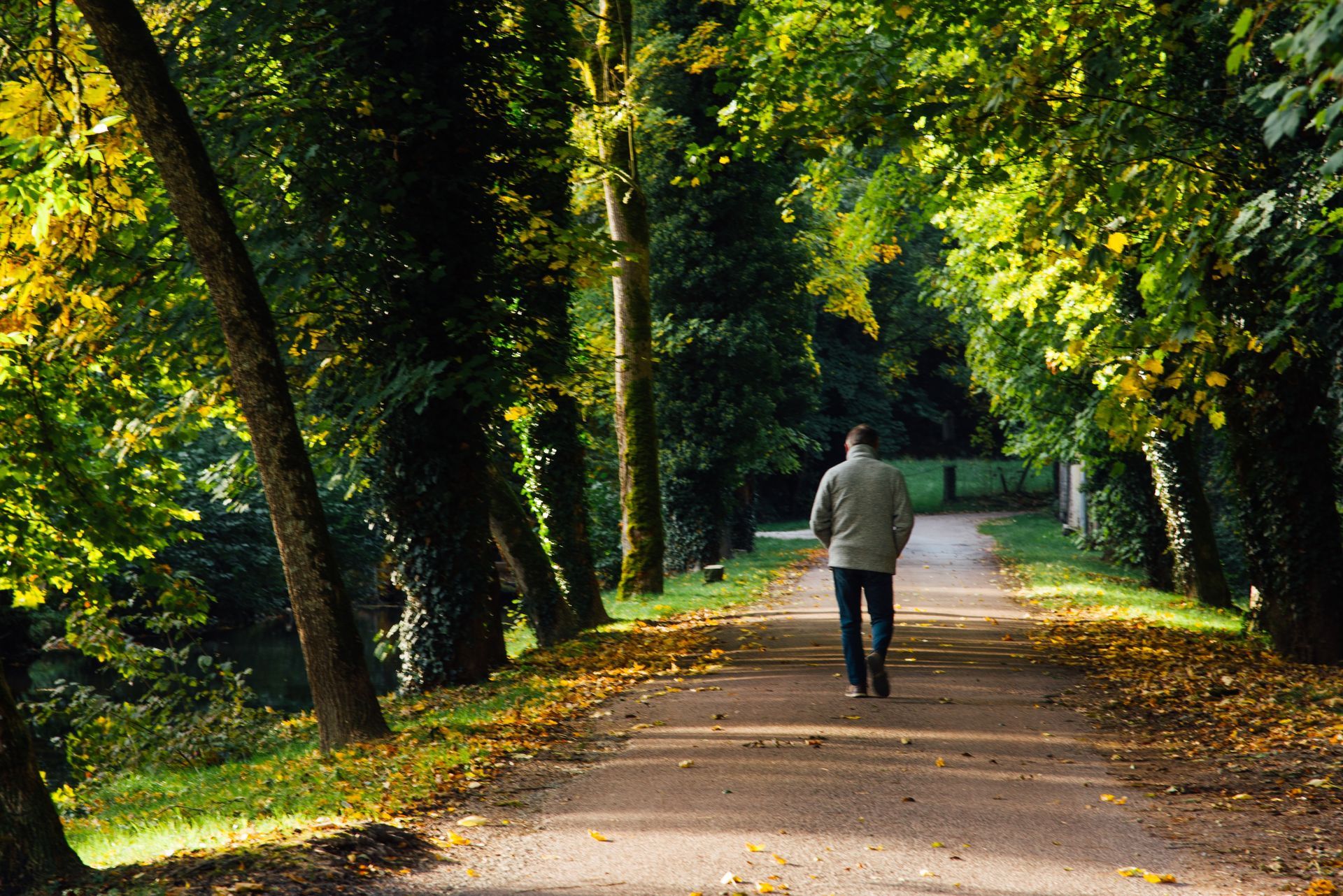 Man walking on a path lined with trees, sunlight filtering through the leaves, fall foliage.