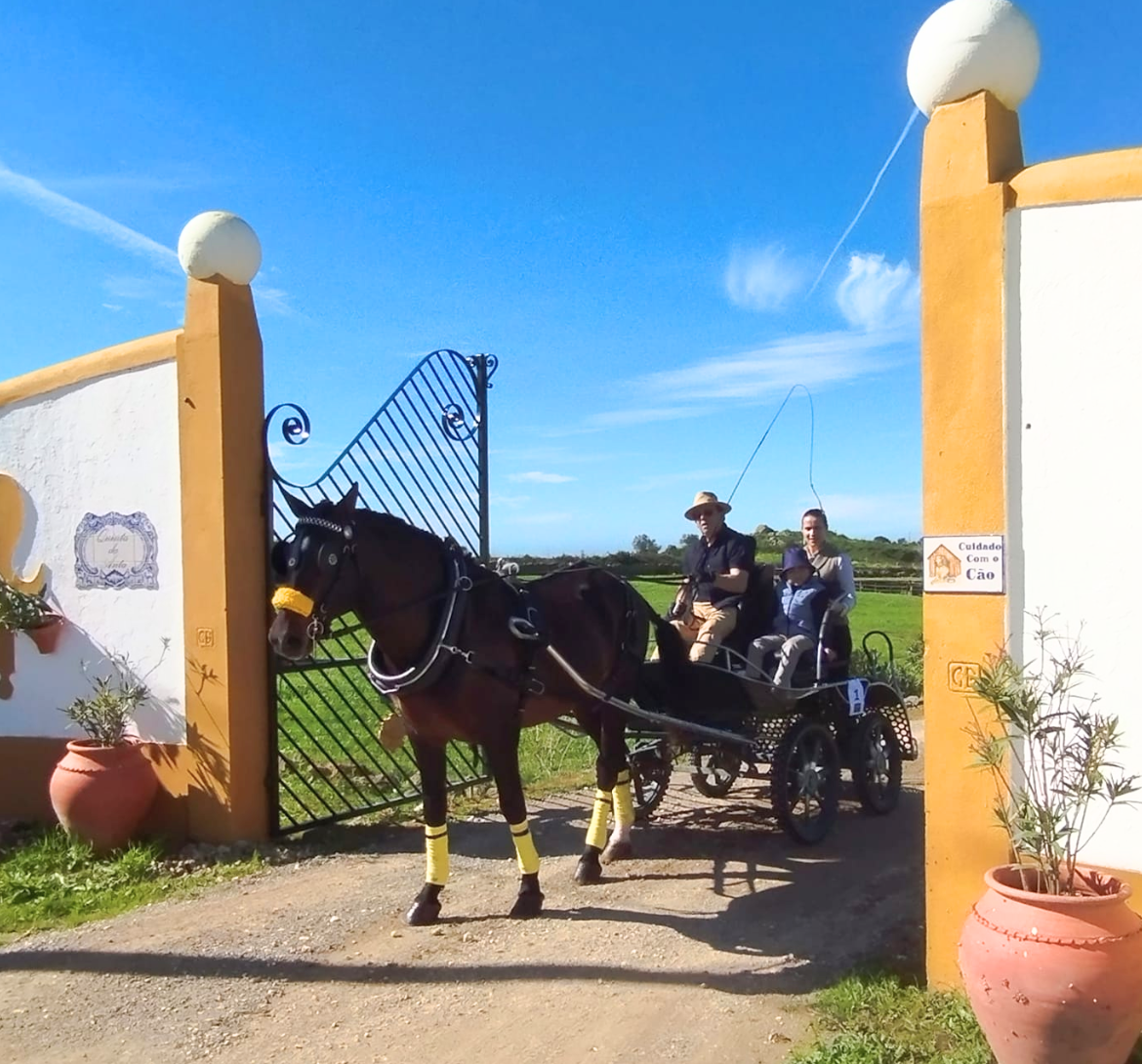 Primeiro Encontro do Clube de Atrelagem do Zambujeiro com 14 conjuntos de carros de cavalos. 