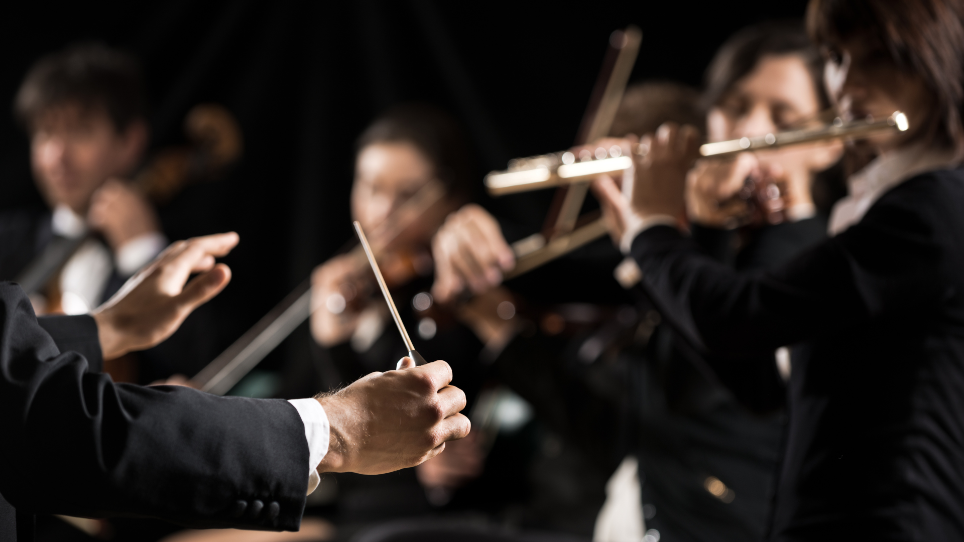 Orquesta León fiestas