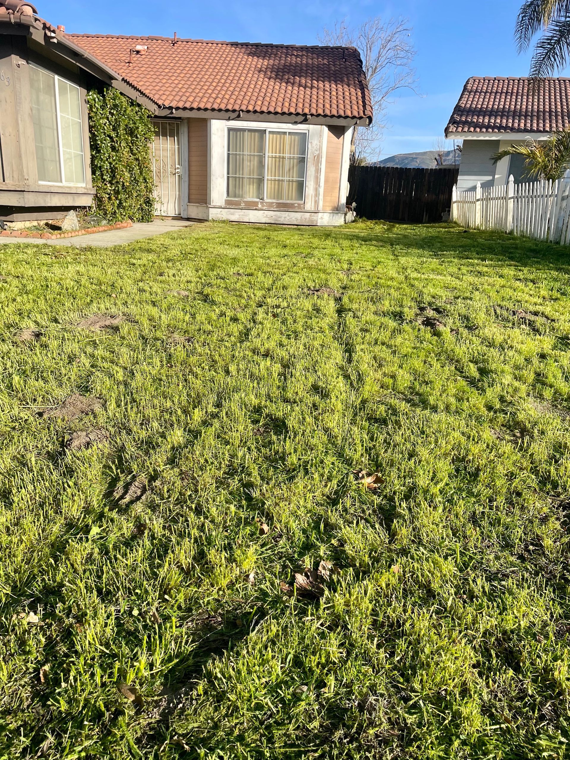 Lawn Mowing Services in Beaumont, CA