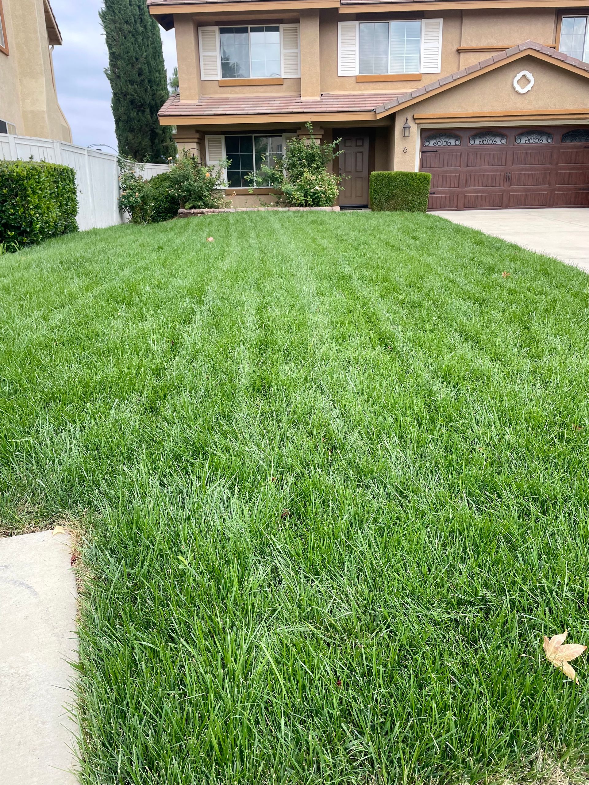 Real Grass Installation Service in Hemet, CA