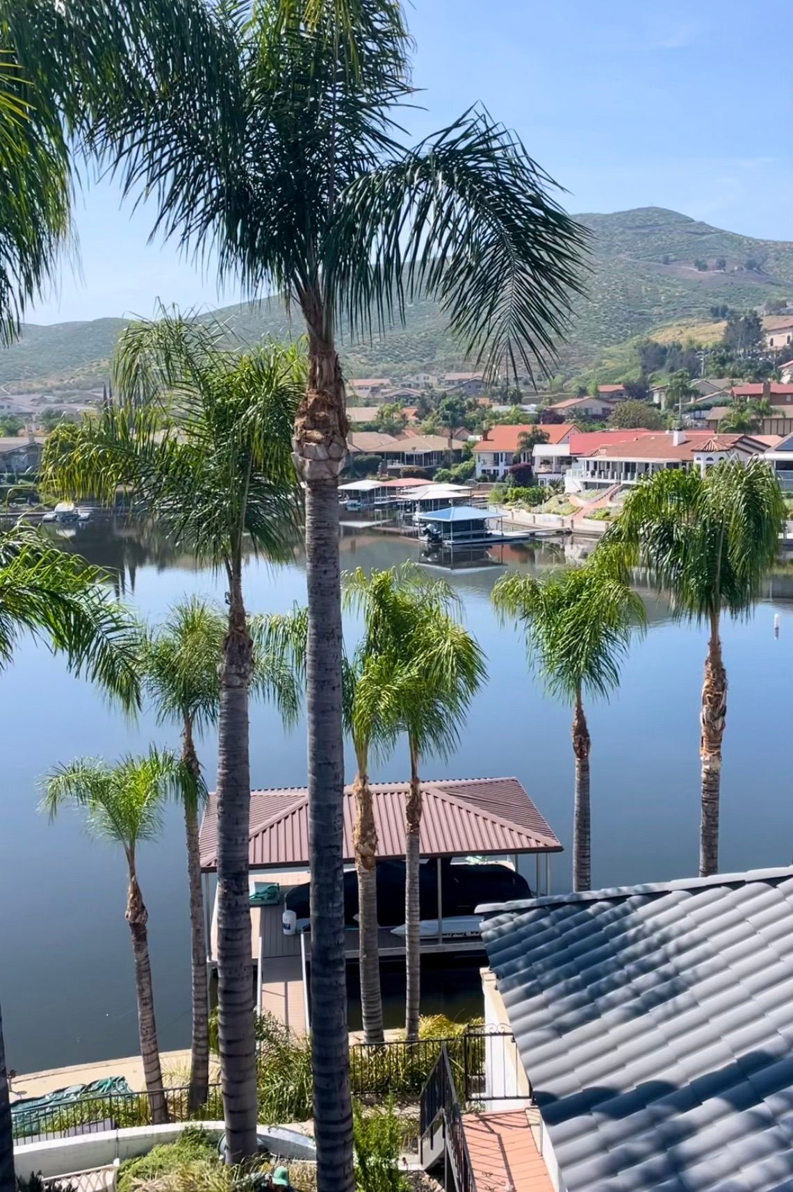 Tree Trimming & Clean Up in Hemet, CA