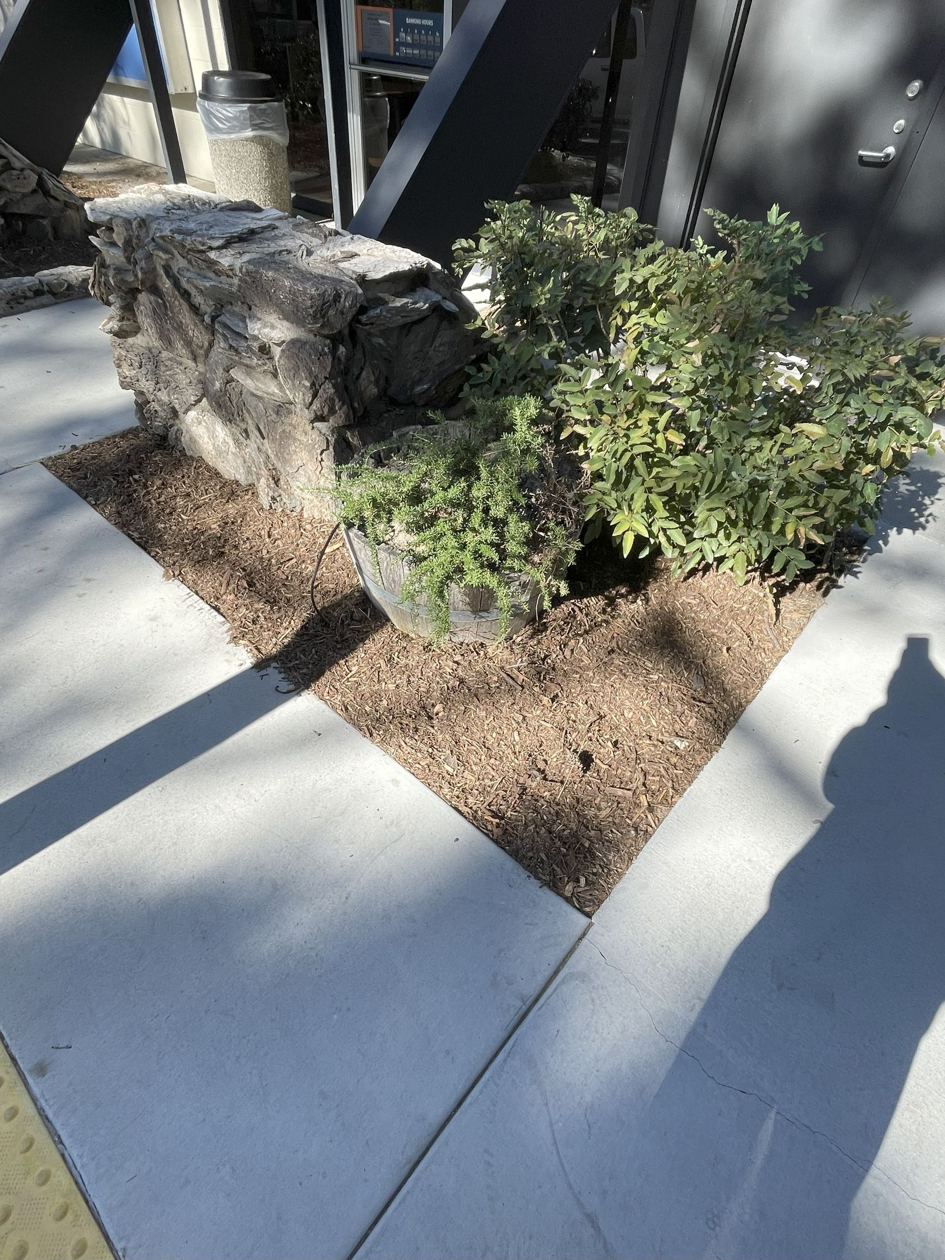 Planter with brown rocks, mulch, and green bushes, on gray concrete sidewalk.