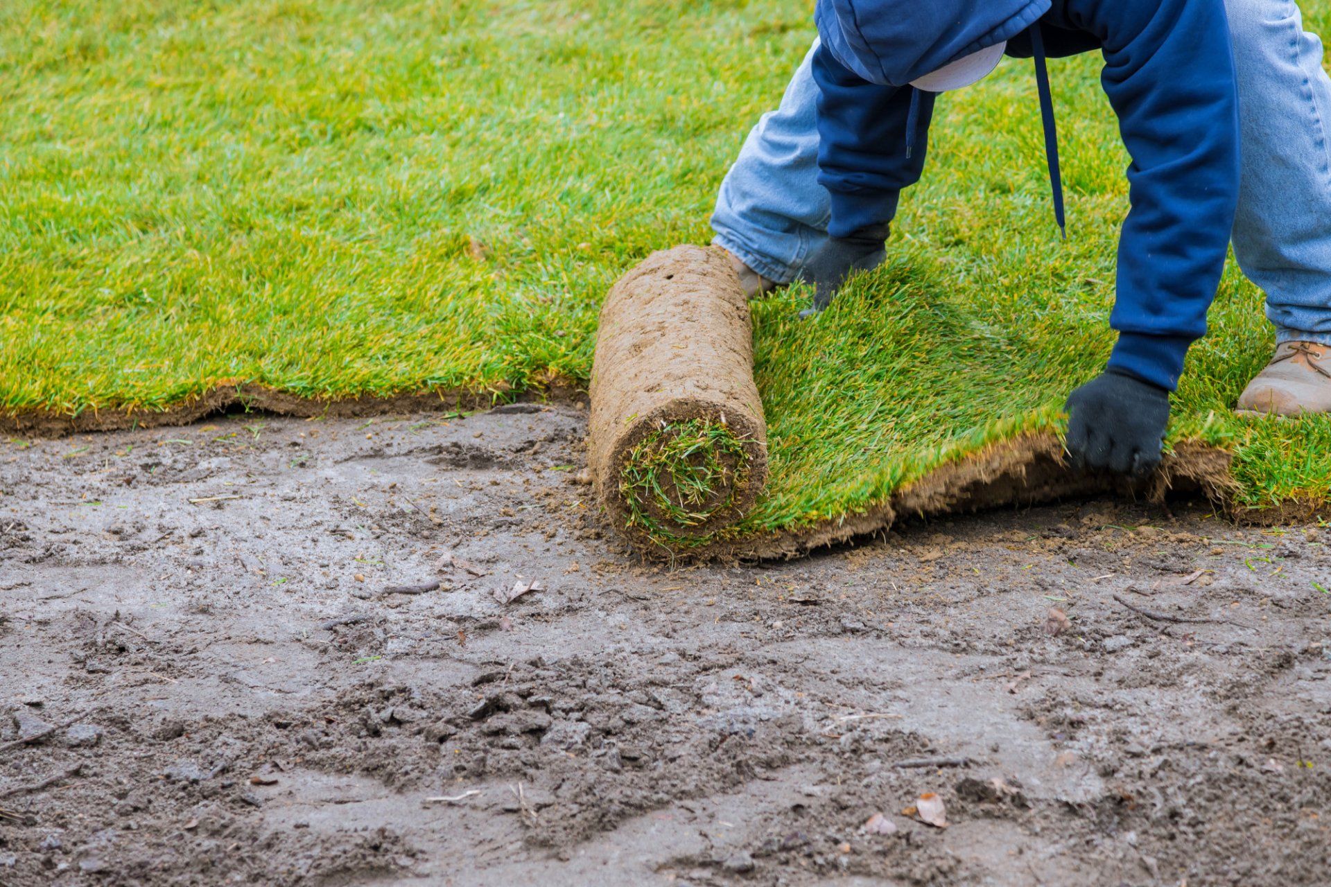 New Sod installation over soil