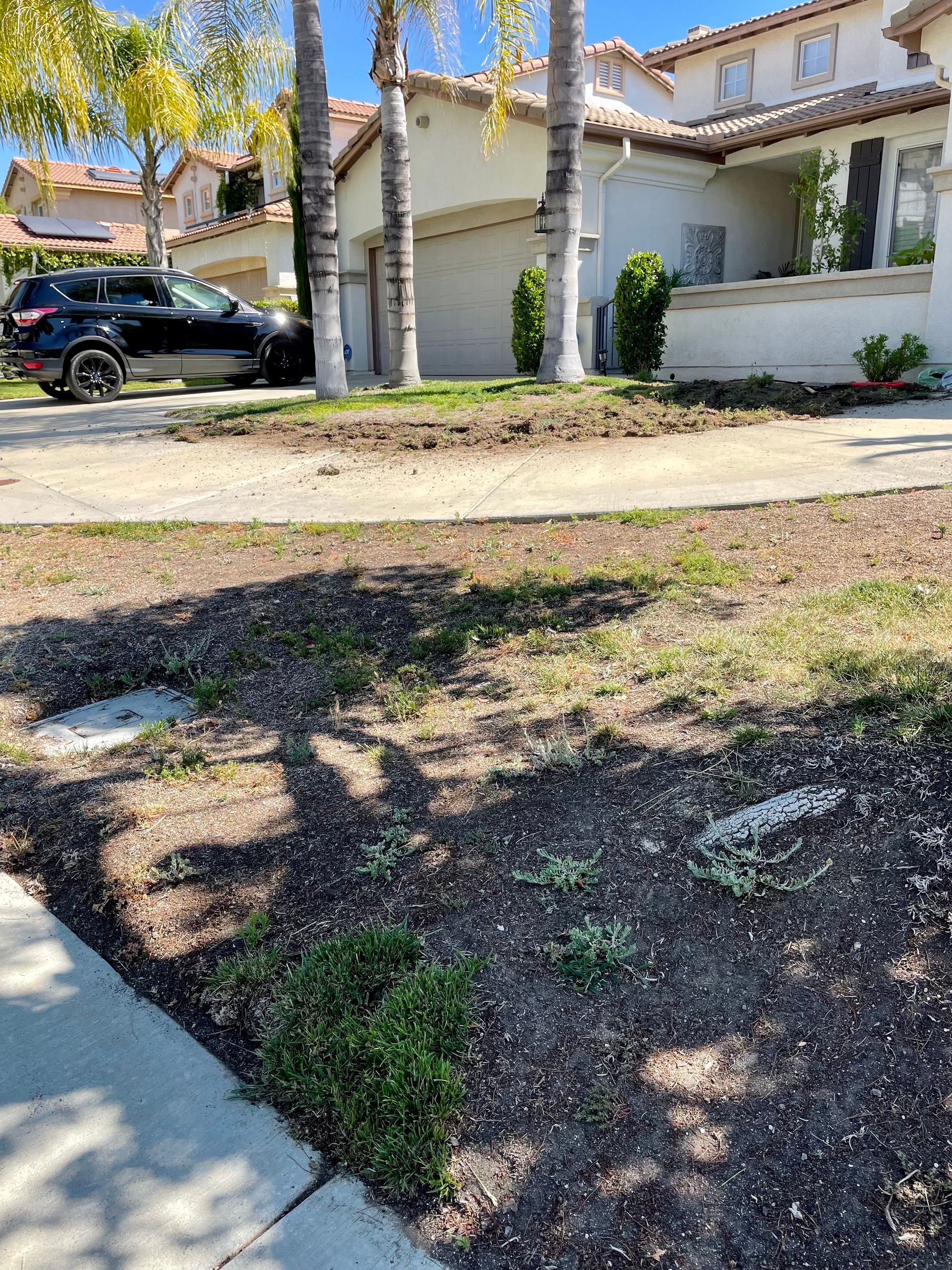 american home grass and dirt