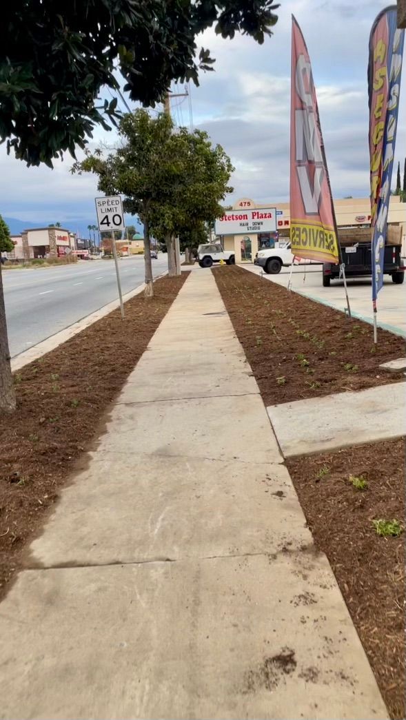 Commercial Landscaping & Maintenance in Hemet, CA