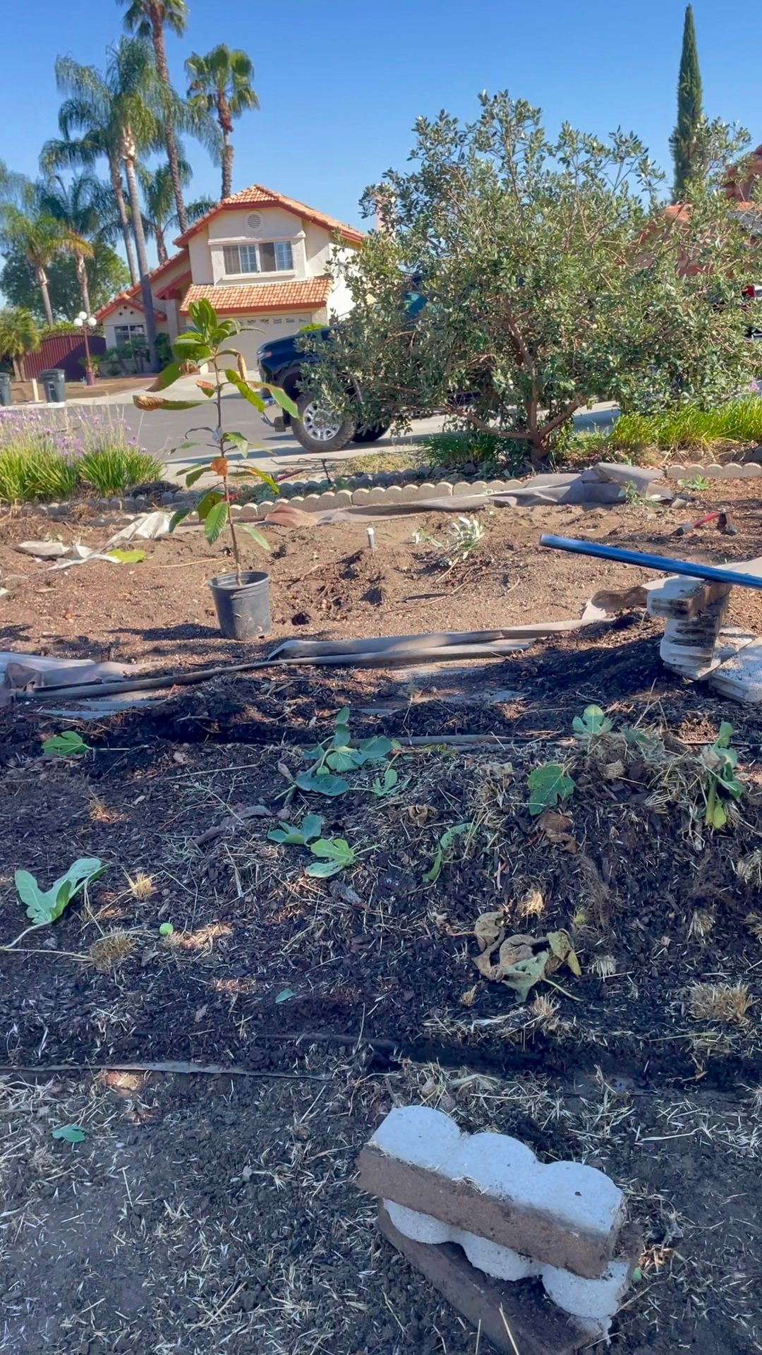 A garden with a house in the background is being built.