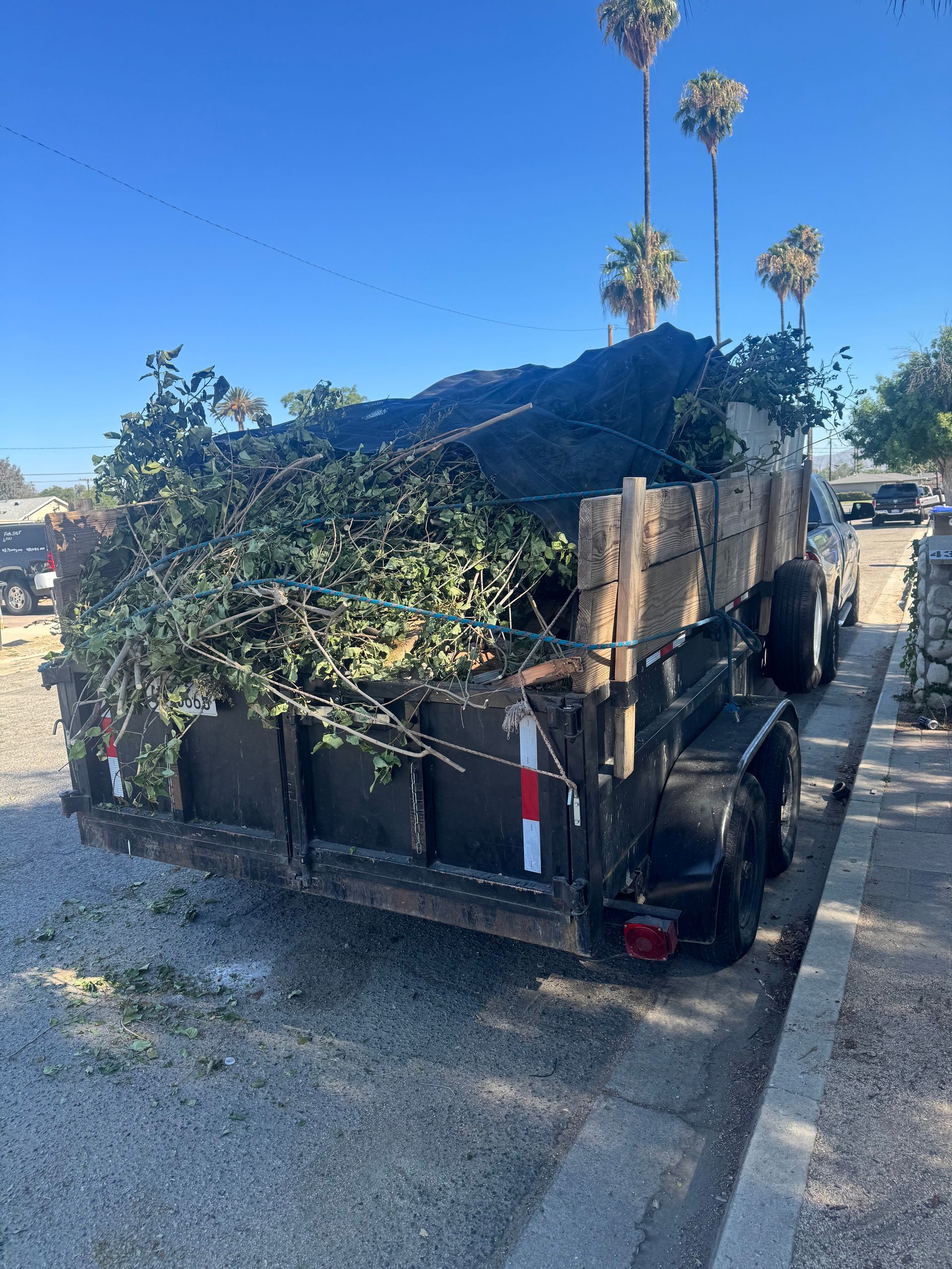 Landscaping Debris & Junk Removal Service in Menifee, CA