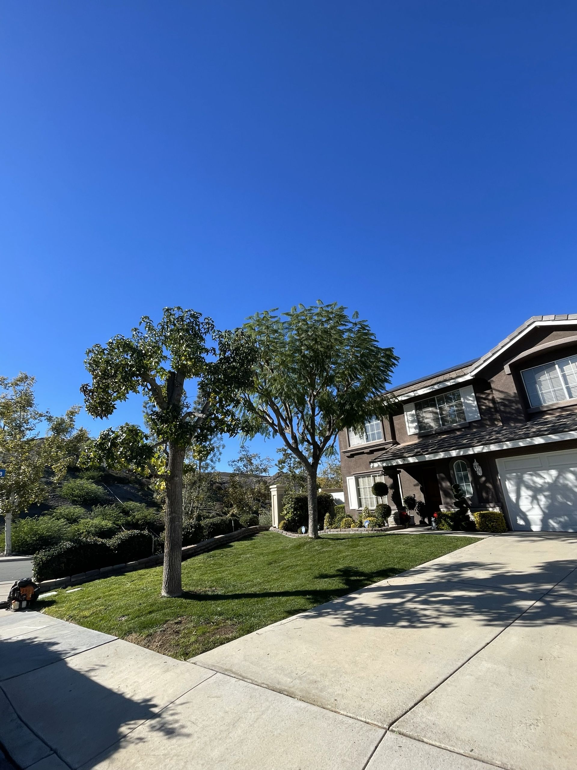 A house with a lawn and trees under a clear blue sky. A person sits on the lawn.