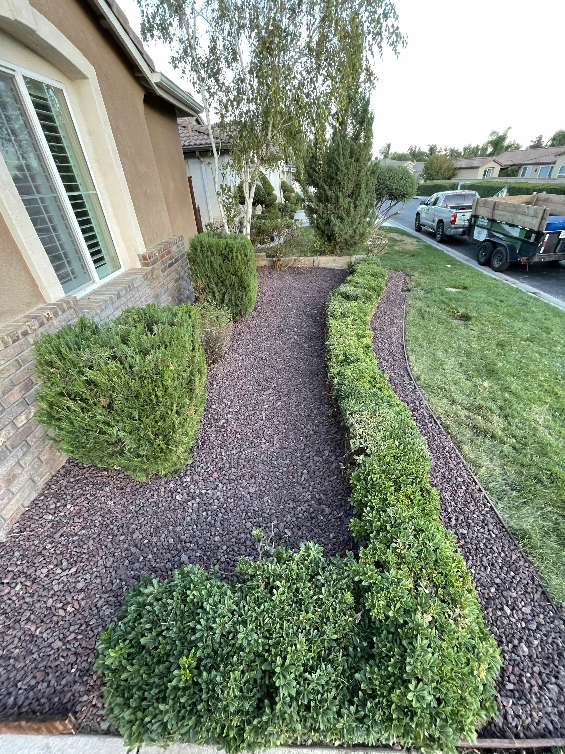 Side yard with trimmed green bushes, dark mulch path, and a grass lawn.