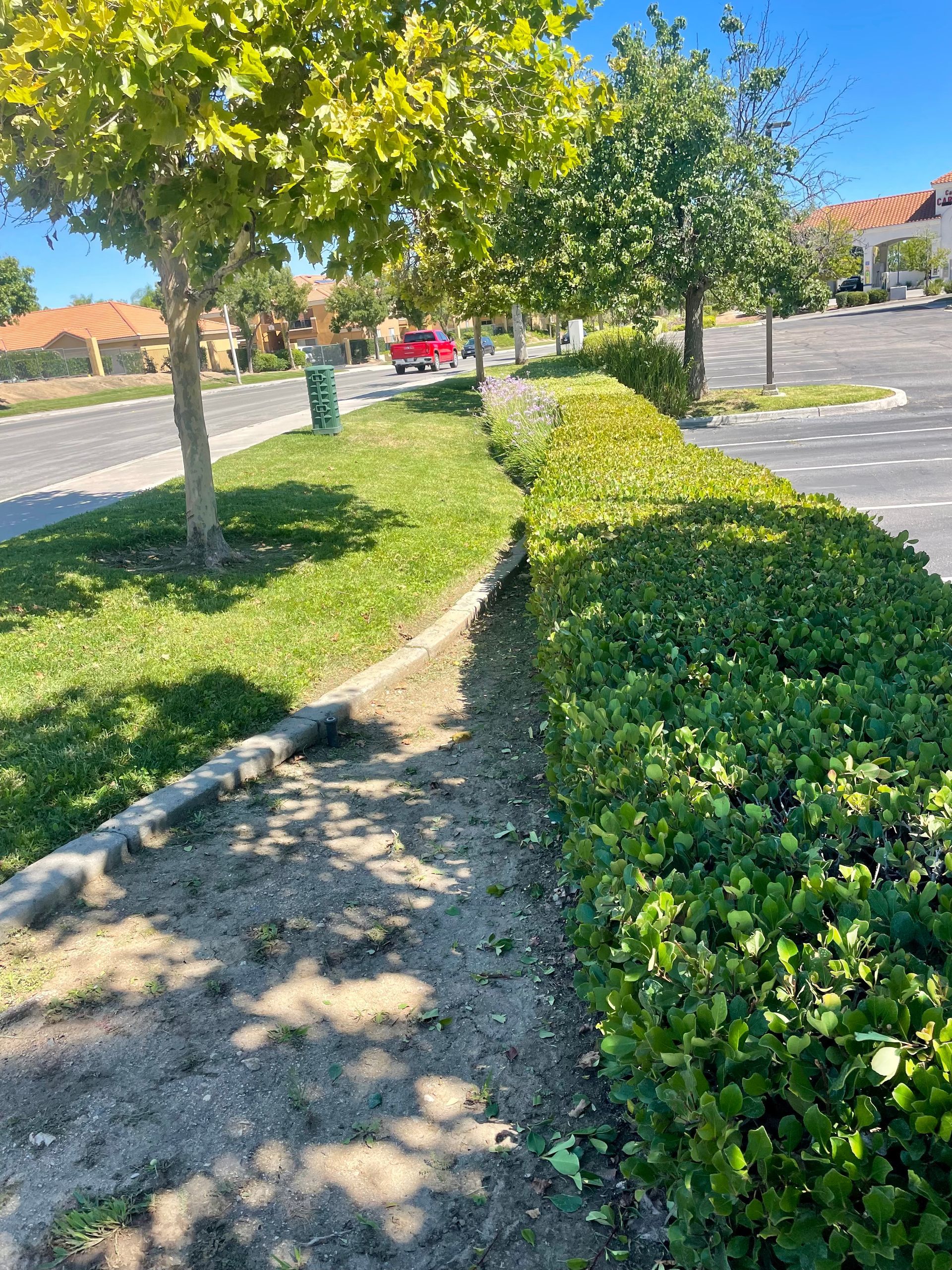 Monthly Landscape Maintenance Service in Hemet & San Jacinto, CA