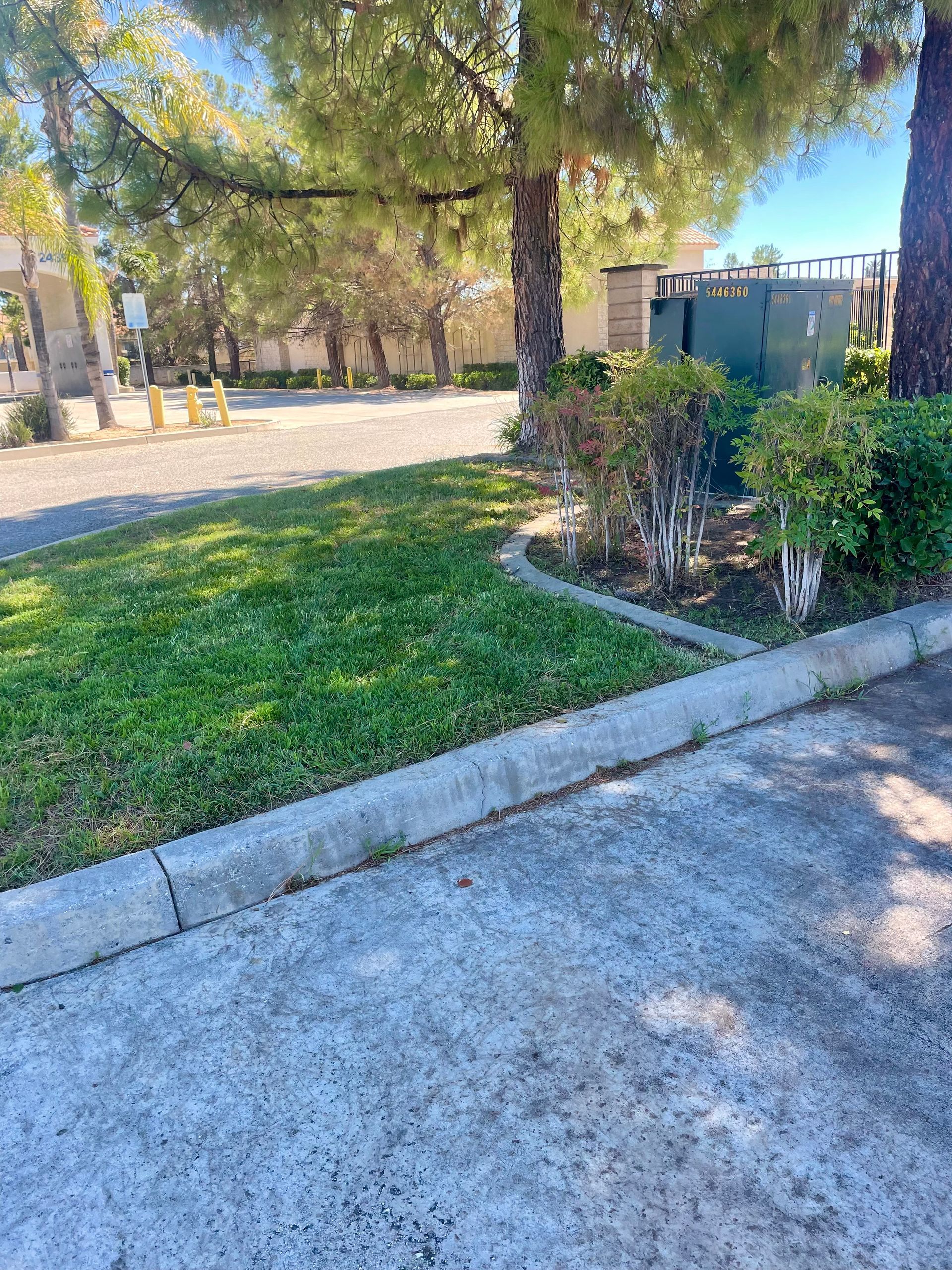 Grassy area with curb, bushes, and trees beside a paved road on a sunny day.