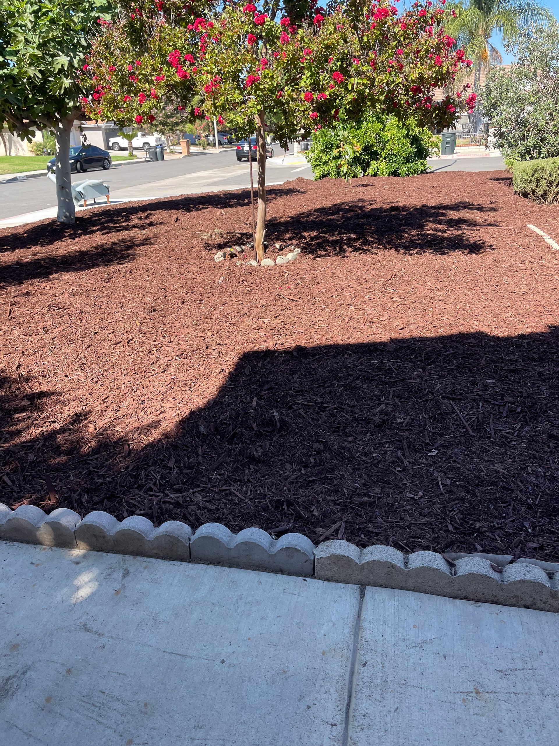 Landscape Red Mulch Installation in Hemet. CA