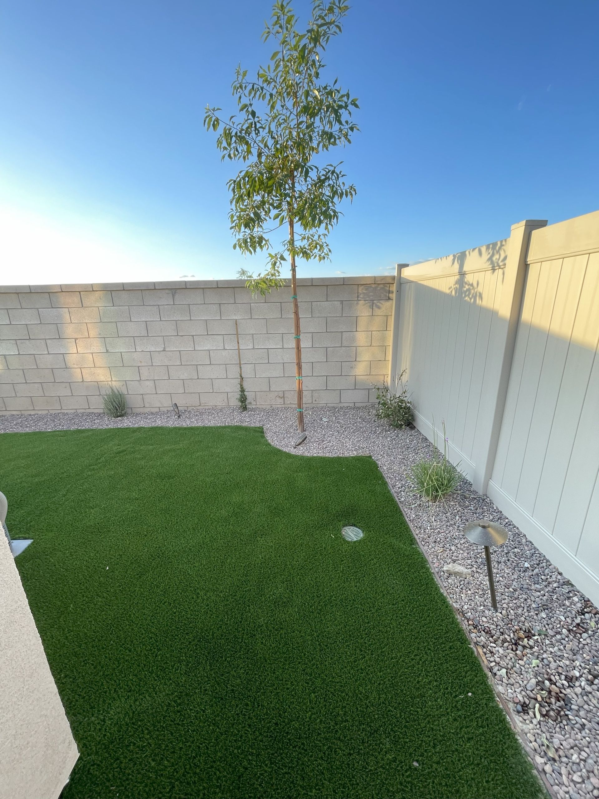 A backyard with green artificial grass, a tree, and gravel next to a white wall under a blue sky.