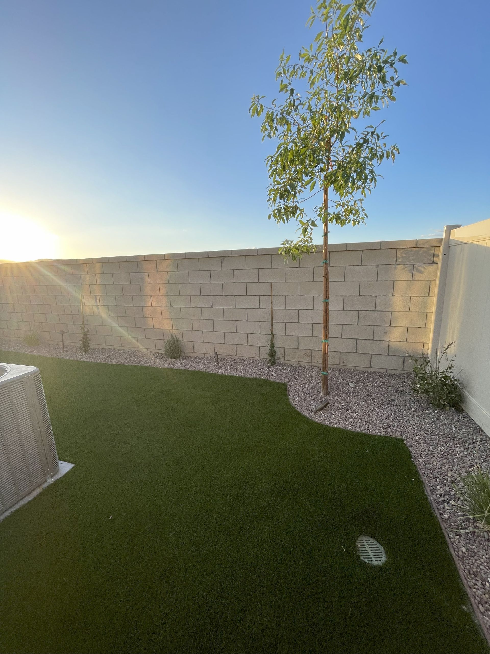 Green lawn and gravel border by a block wall with a young tree, under a bright sky.