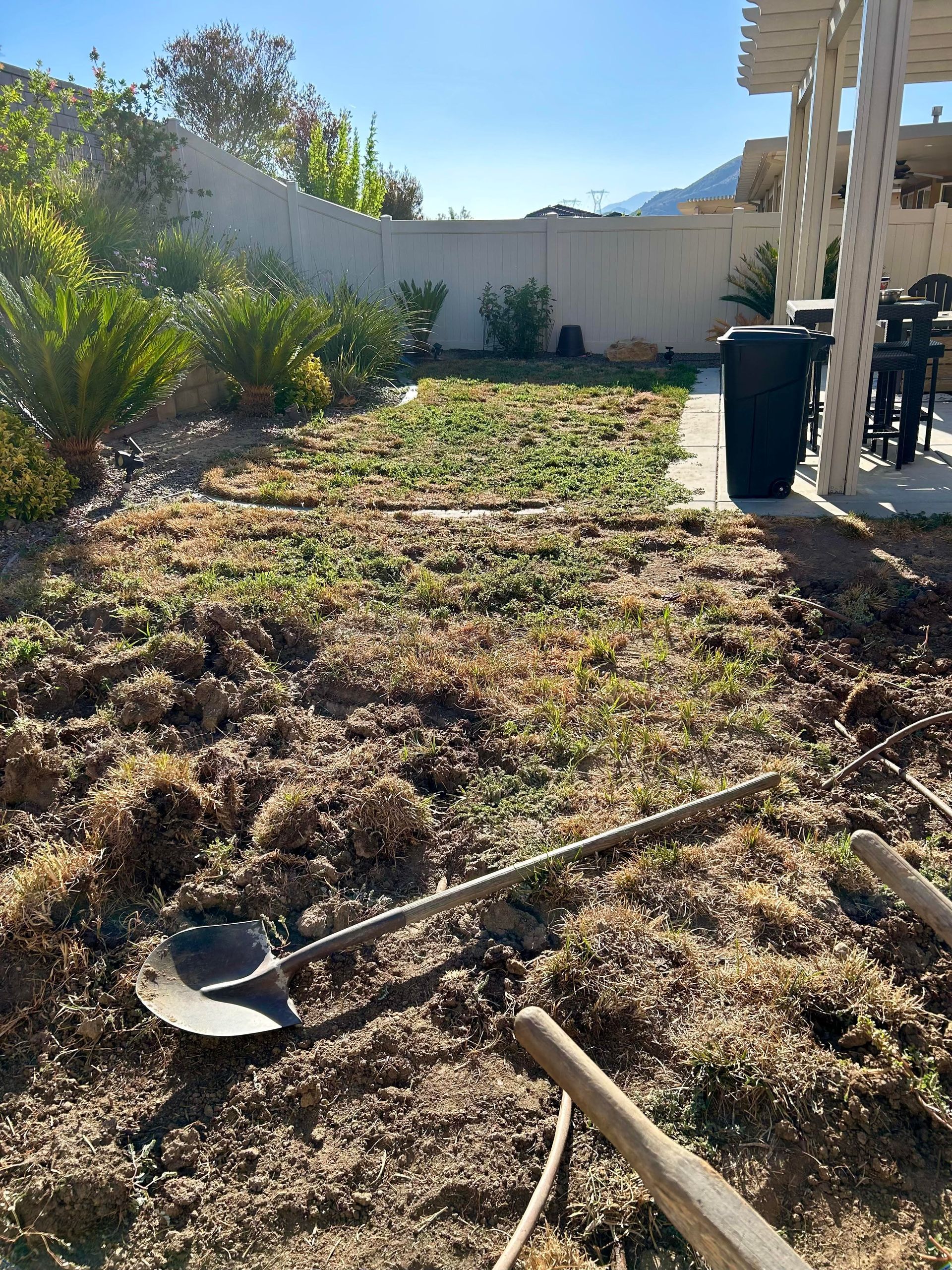 A yard with cleared weeds and gardening tools, preparing for new planting; sunny day.