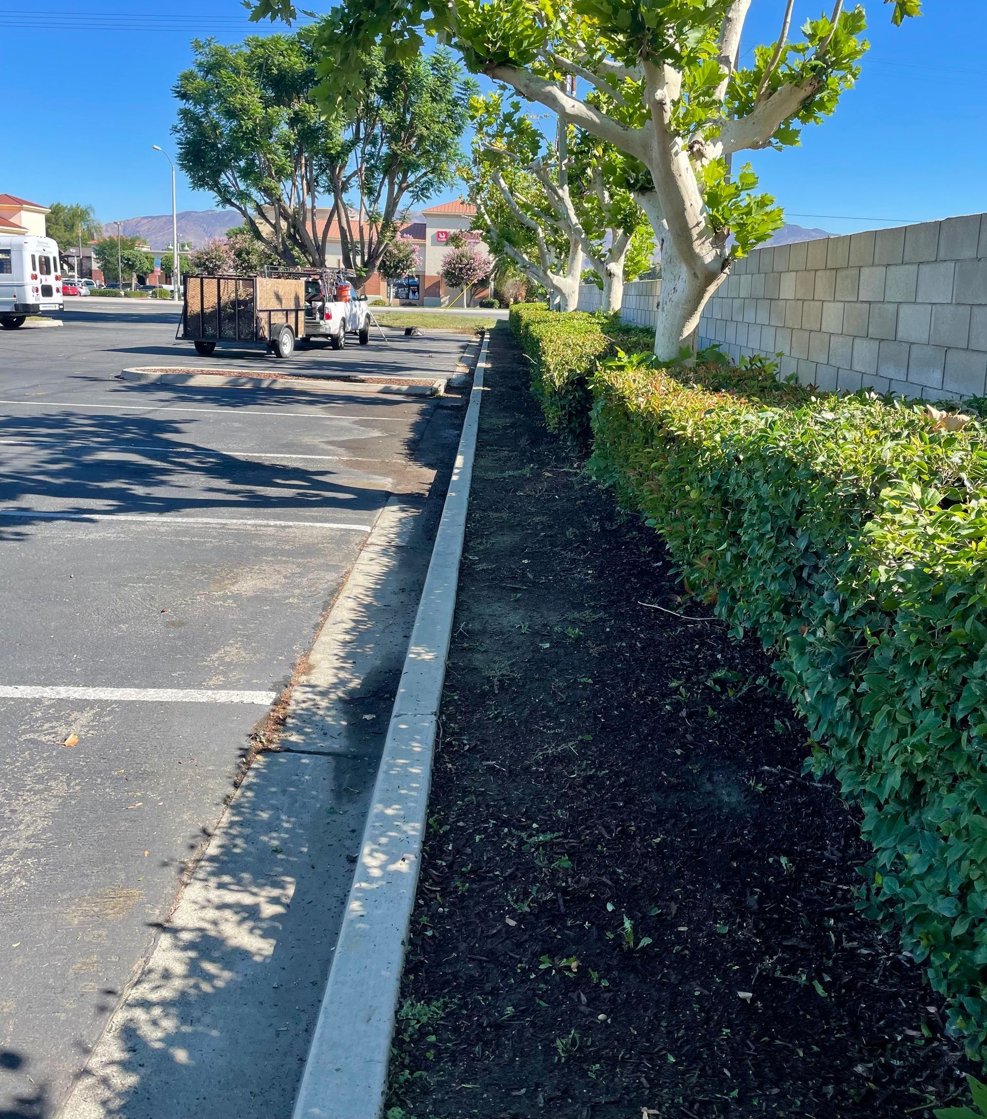 A parking lot with trees and bushes on the side of it