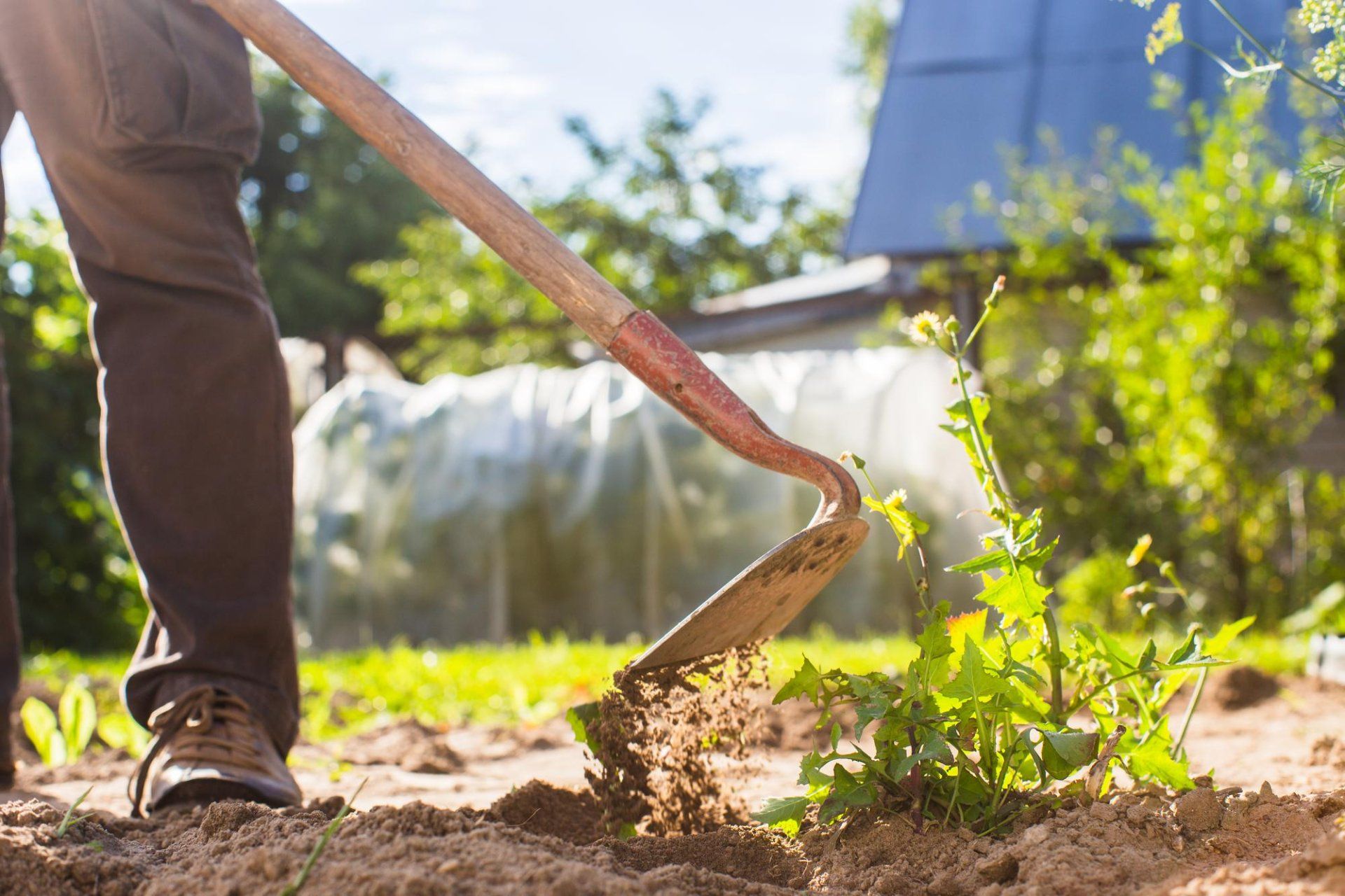 Landscaping tool hitting dirt