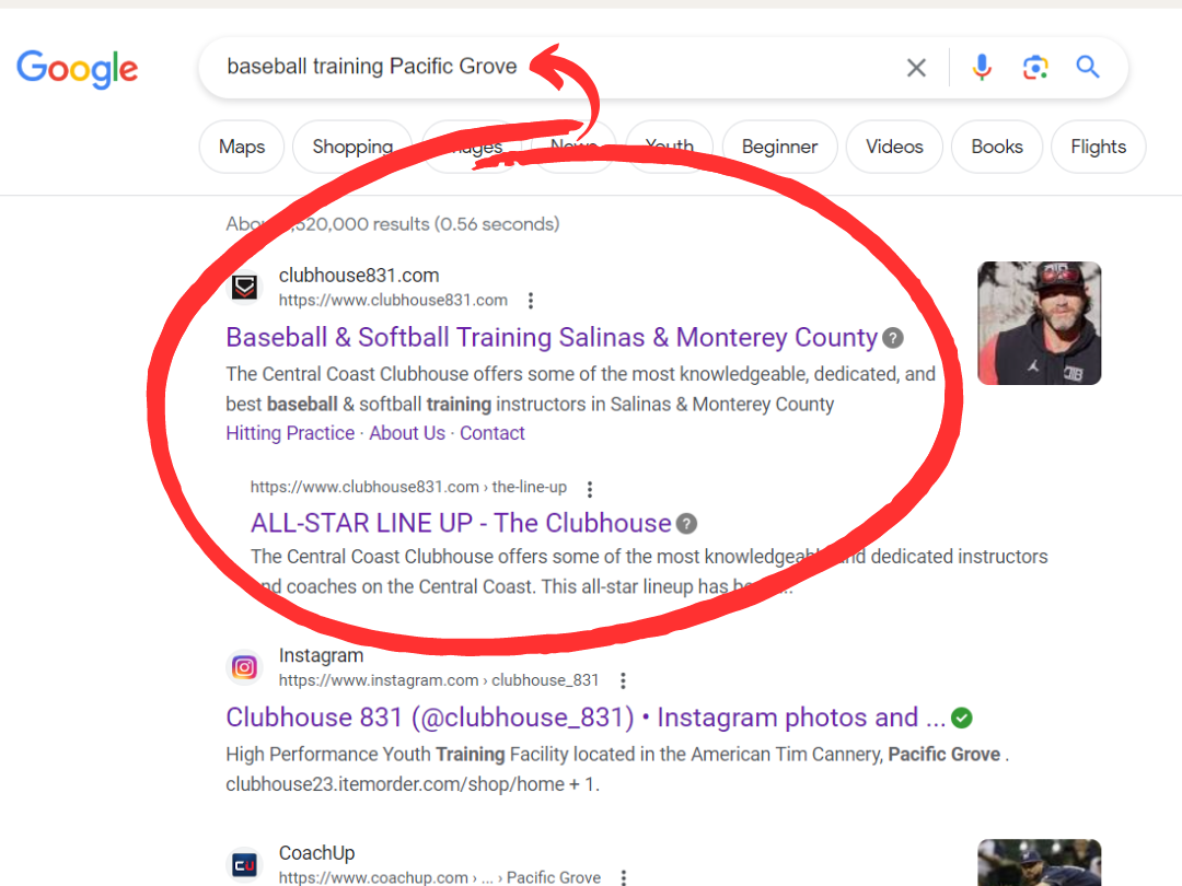 Baseball Training 1st Page of Google Pic